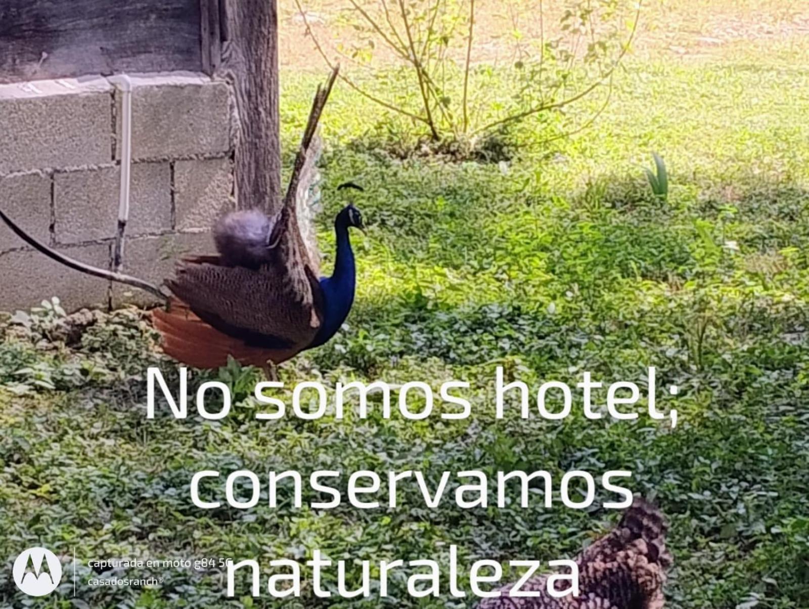 Отель Casados Ranch Эскарсега Экстерьер фото